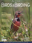 Africa – Birds & Birding