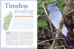 Article First Page: Africa – Birds & Birding: Aug...