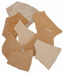 Elephant Bird Shell Fragments