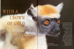 Article First Page: Africa Geographic: December 2002/Ja...