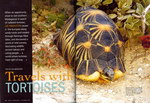 Article First Page: Africa Geographic: November 2007; V...