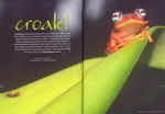 Article First Page: Africa Geographic: November 2008; V...