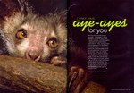 Article First Page: Africa Geographic: February 2009; V...