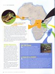 Article: Africa Geographic: December 2010/Ja...