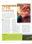 Article: Africa Geographic: December 2010/Ja...