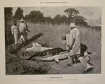 Plate 1: Voyages en Asie et à Madagascar 18...