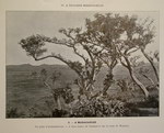 Plate 3: Voyages en Asie et à Madagascar 18...