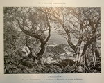 Plate 4: Voyages en Asie et à Madagascar 18...