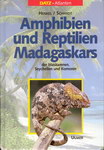 Amphibien und Reptilien Madagaskars