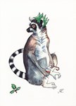 Ring-Tailed Lemur