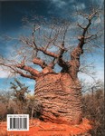 Back Cover: Baobabs of the World: The upside-do...