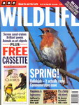 Front Cover: BBC Wildlife: May 1994, Volume 12, ...