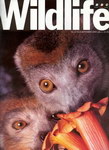 Front Cover: BBC Wildlife: September 1995, Volum...