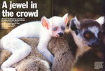 Article First Page: BBC Wildlife: February 1997, Volume...