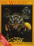 Front Cover: BBC Wildlife: June 1984, Volume 2, ...
