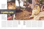 Article First Page: BBC Wildlife: July 2002, Volume 20,...