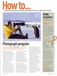 Article: BBC Wildlife: December 2007, Volume...