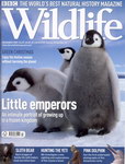 Front Cover: BBC Wildlife: December 2007, Volume...