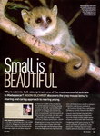 Article First Page: BBC Wildlife: July 2008, Volume 26,...