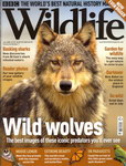 Front Cover: BBC Wildlife: July 2008, Volume 26,...