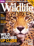 Front Cover: BBC Wildlife: August 2009, Volume 2...