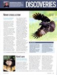 Article: BBC Wildlife: November 2010, Volume...