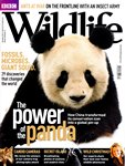 Front Cover: BBC Wildlife: December 2010, Volume...