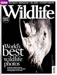 Front Cover: BBC Wildlife: October 2011, Volume ...