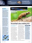 Article: BBC Wildlife: May 2011, Volume 29, ...