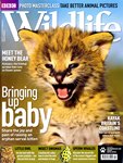 Front Cover: BBC Wildlife: May 2011, Volume 29, ...