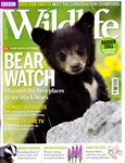 Front Cover: BBC Wildlife: May 2012, Volume 30, ...