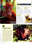 Article: BBC Wildlife: January 2013, Volume ...