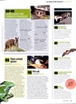 Article: BBC Wildlife: January 2013, Volume ...