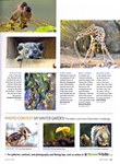 Article: BBC Wildlife: January 2013, Volume ...