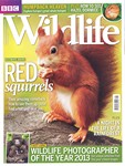 Front Cover: BBC Wildlife: September 2013, Volum...