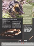 Article: BBC Wildlife: January 2014, Volume ...