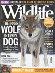 Front Cover: BBC Wildlife: February 2014, Volume...