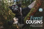 Article First Page: BBC Wildlife: November 2016, Volume...