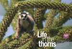 Article First Page: BBC Wildlife: March 2016, Volume 34...