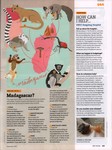 Article: BBC Wildlife: December 2017, Volume...