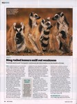 Article: BBC Wildlife: September 2018, Volum...