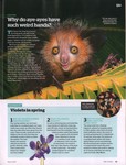 Article: BBC Wildlife: March 2020, Volume 38...