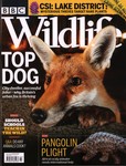 Front Cover: BBC Wildlife: March 2020, Volume 38...