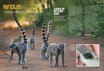 Article: BBC Wildlife: June 2020, Volume 38,...
