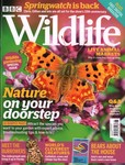 Front Cover: BBC Wildlife: June 2020, Volume 38,...