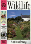 Front Cover: BBC Wildlife: June 1991, Volume 9, ...