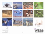 Back Cover: BBC Wildlife Calendar 2010