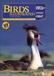Front Cover: Birds Illustrated: Autumn 2003: Vol...