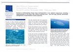 First Page: Blue Ventures Conservation Andavado...