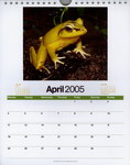 April Page: Madagascar 2005 Calendar: Images of...